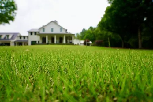I have used Legacy Lawn Care both personally and professionally