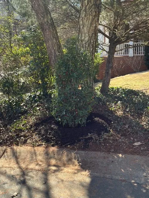 Peter and his crew did an outstanding job with landscaping our front yard. We made some last minute changes