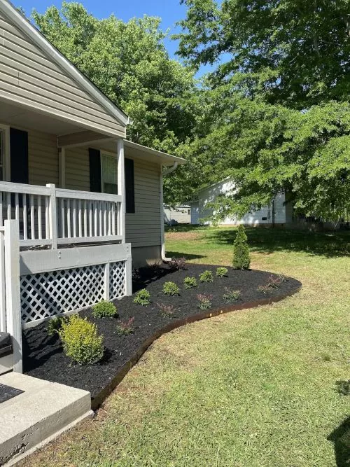 Nacho and crew did a FANTASTIC job on my yard! They weeded, trimmed bushes, spread mulch and pinestraw on several beds