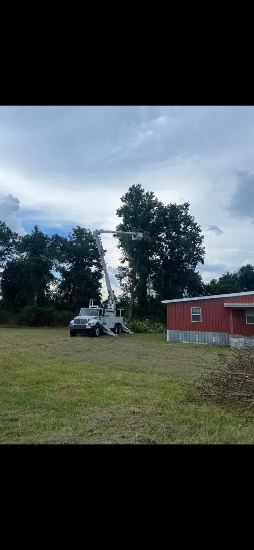 Carter and the crew at Southeast Tree Service are the absolute best
