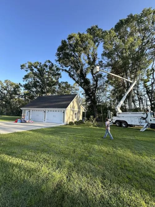 They have done work for me and my family multiple times over the years! Reliable, fast, and efficient!