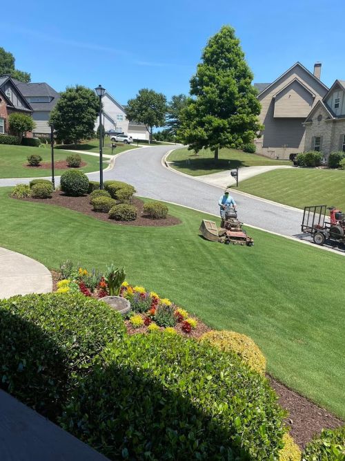  alt='I did a Google search for landscapers and found Medina’s landscaping'