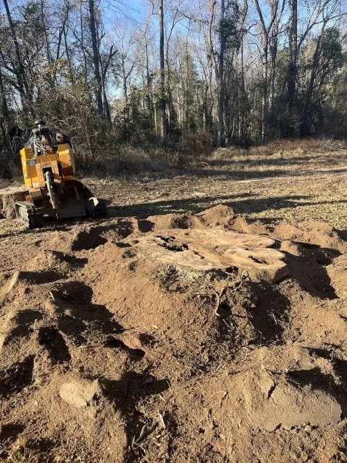 We hired MSG for a stump grinding and fence installation, and the results exceeded our expectations