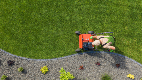  alt='I highly recommend Green Horizons Landscape for any kind of service they offer'