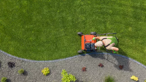 They do a great job