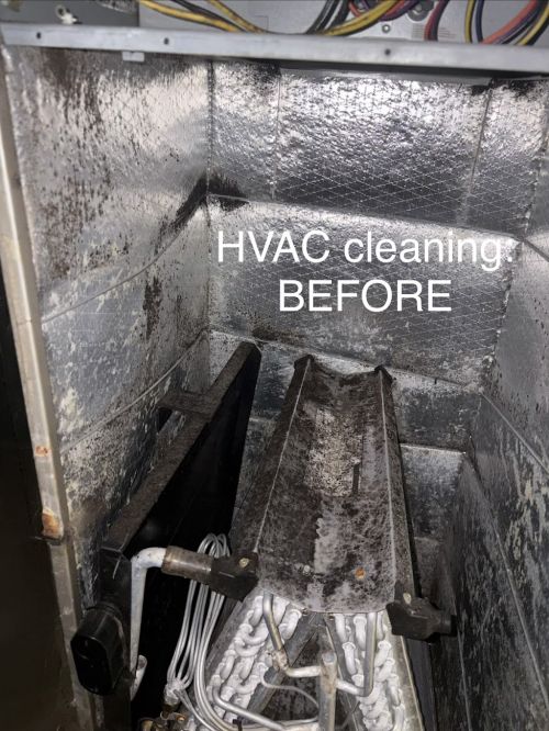  alt='Simple Solutions Restoration company  excellently restored my kitchen from water and mold damage after an unexpected water'