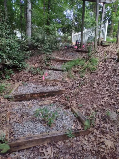 Carl and the crew did an amazing job clearing out my backyard and cleaning up a mess I made