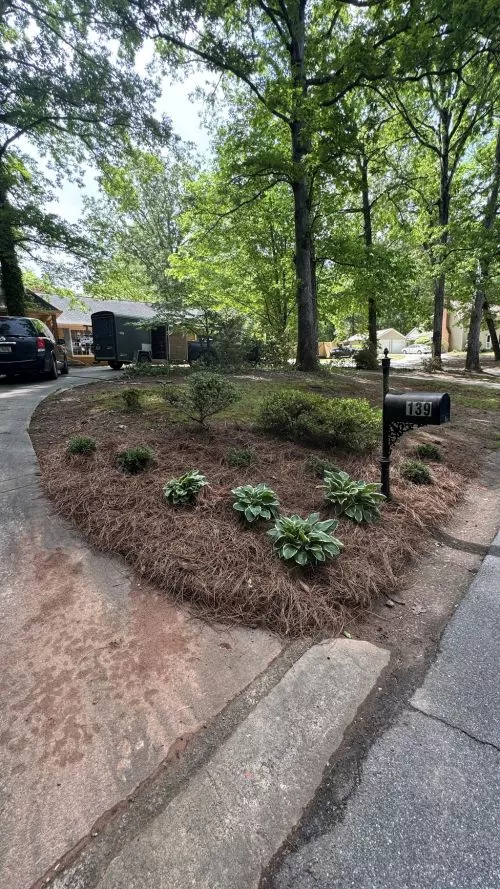 We recently worked with Pro Scapes for a landscaping project in our backyard, and we are quite satisfied with the results