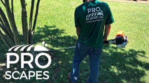 Rick and his team did an Awesome job installing sod and planting shrubs and 3 fruit house at my house