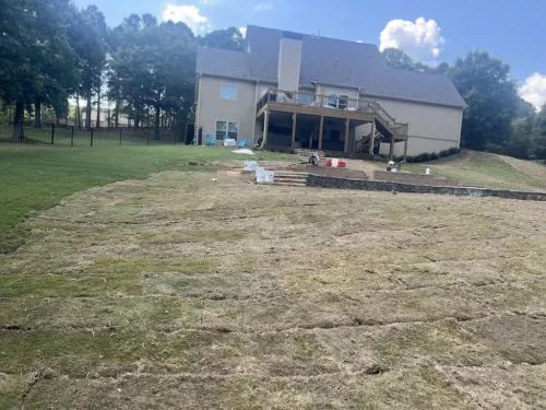 After 2 years lack-luster-DIY-lawn-maintenance, Walter helped us understand the best approach to getting our lawn in better