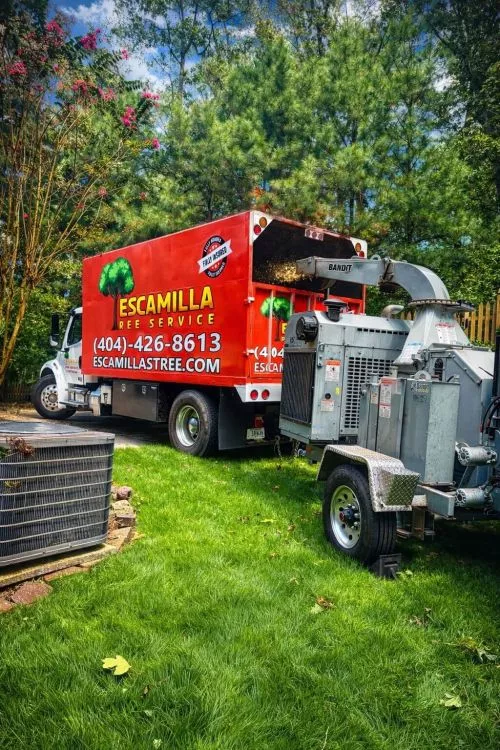 Good guys is an understatement for these guys! We had a large red oak terrorizing our back yard and pool