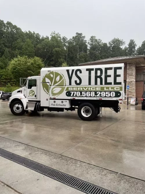 For anyone looking for tree removal or pruning/trimming services, I highly recommend YS Tree Service