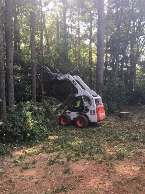 I recently hired YS Tree Services for a significant tree removal project at my property, involving the removal of 13 trees