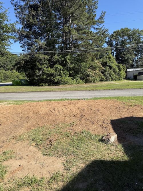  alt='Great job removing a tree and stump at one of my properties. The area looks completely different now and was cleaned up'