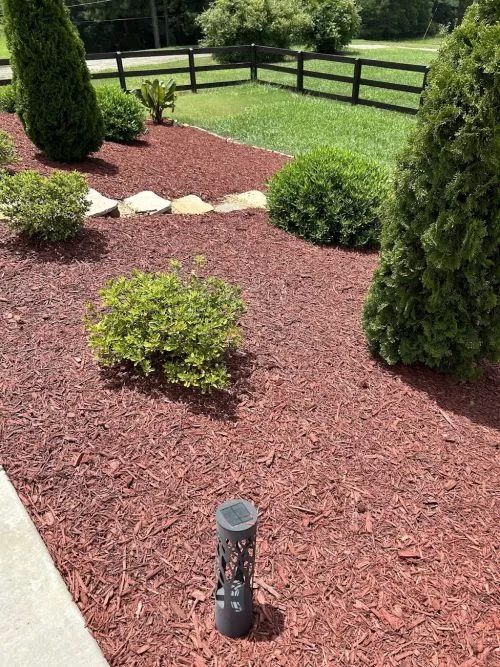 Aaron has been a tremendous help to us…mowing, edging, weeding, bush/shrub trimmings and now leaf blowing