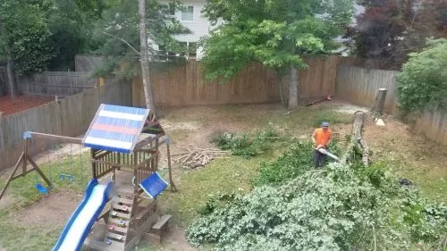 All the guys working on removing my dead tree were attentive to the details