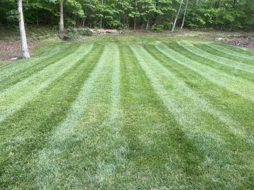 Zach does a great job with our yard. Maintains a great schedule and we don’t ever have to worry about the yard getting done