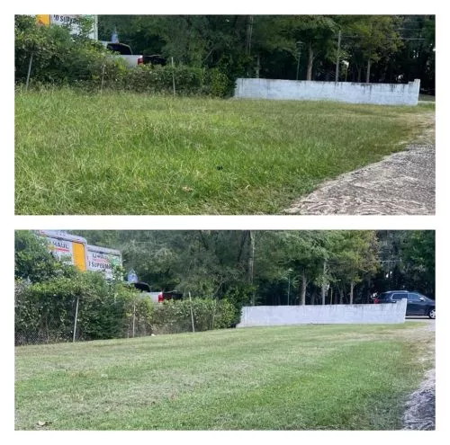 Excellent lawn care service! Always on time, professional, and the yard looks amazing after every visit
