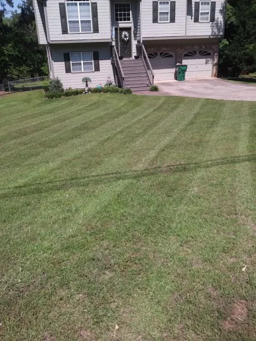 I have been using Asante for over a year. He"s always professional and my lawn looks so good
