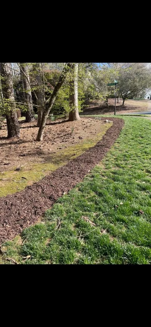 Asante has serviced my yard twice so far and I am completely satisfied with the quality of his work