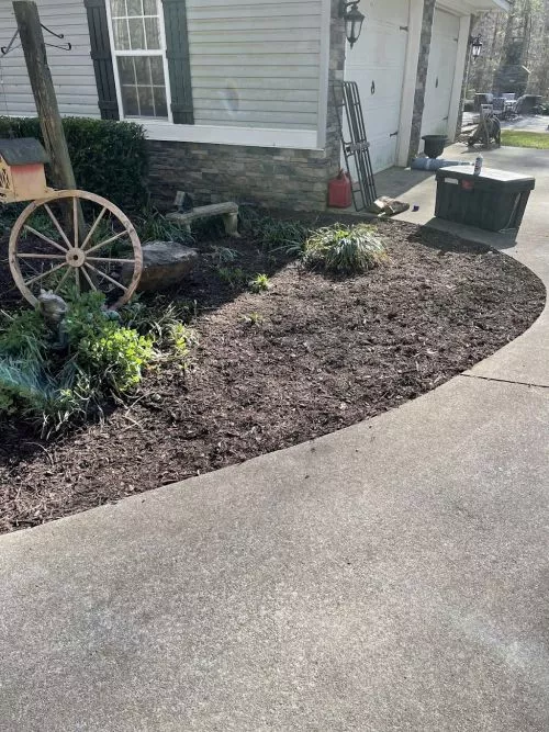 “I’ve been using Asante for lawn care for the past 4 years, and I highly recommend his services