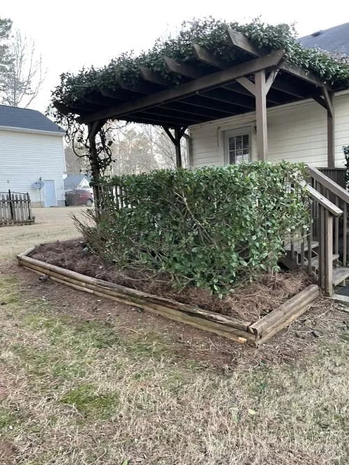 We have been using Asante for regular lawn care as well as seasonal projects for a while now