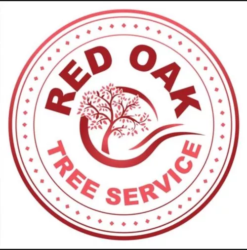 My experience with this company was negative. We agreed on a service, I completed it professionally, but they did not