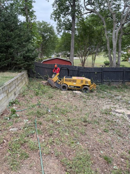  alt='Great experience! They removed two large trees quickly and safely'