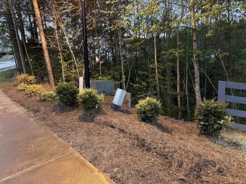Ed and his crew have serviced my property since 2012. My son actually made a comment a few weeks ago that we have the best