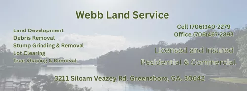 The best tree service in the area for sure. Great service and very efficient. 