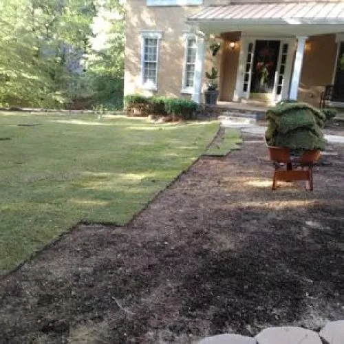 David and his team did an excellent job. This tree service is tops