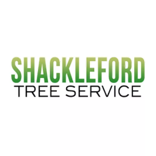 Shackleford Tree Service did an excellent job for me. They were professional, on time, and worked efficiently from start to