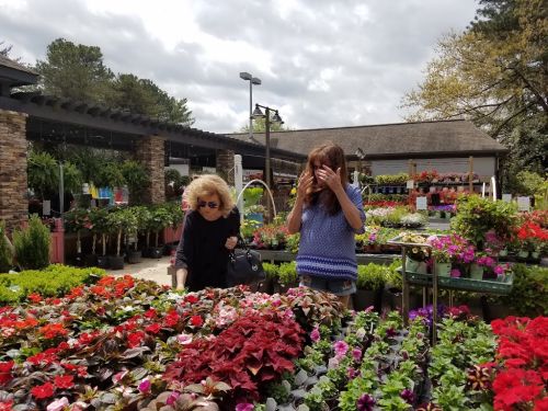  alt='I am so pleased that the Secret Garden has opened up in Snellville'