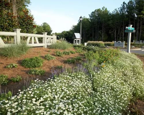 This is our second time using Classic Landscapes. John is very thorough and works well within your budget