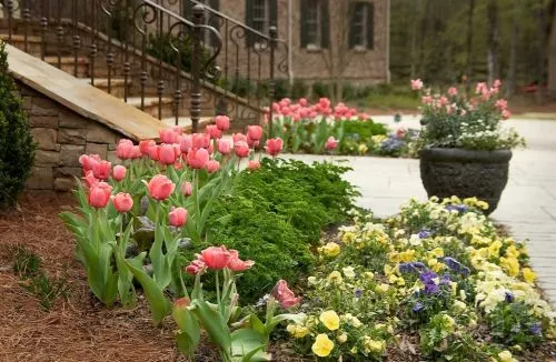 In Fall of 2025, I engaged Classic Landscapes to update an existing landscape to achieve a more updated appearance with