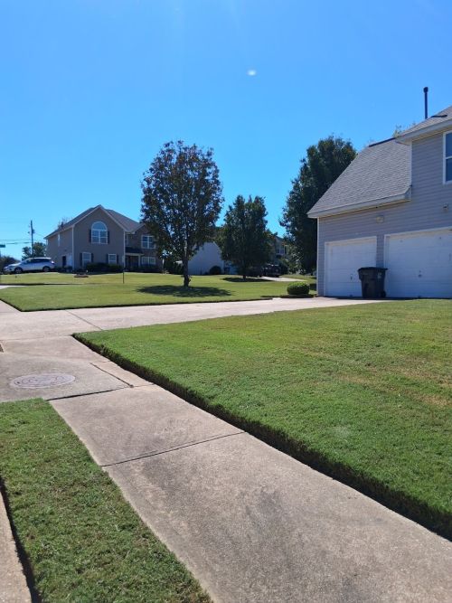  alt='We used Apolinar Landscaping to put up our Christmas lights on our house this year'