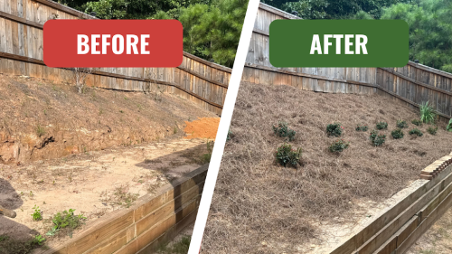  alt='Tyler has been working on our yard for close to two years now and we have been very happy with our results'