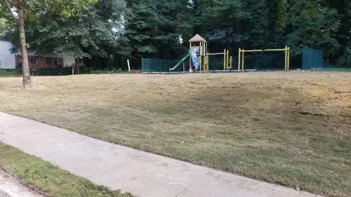 I needed Sod put down in my backyard after getting a fence put up. Found Sterling Lawncare