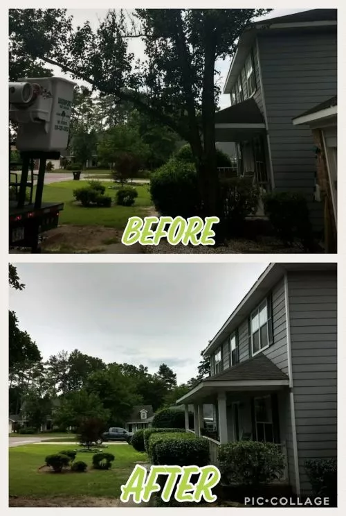 A huge thank you and shoutout to Davenport Tree Service! 🌳 We called them on Monday, and they were out here first thing