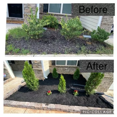 Amazing Job! My yard looks the best it has ever looked!