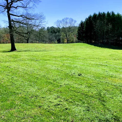 We have been using Georgia’s Finesse Lawncare for several months now and are very pleased