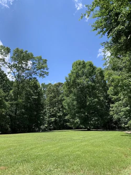 Amazing work Left my yard looking stunning! Doesn’t miss or skips over anything made sure he got every weed and stim around