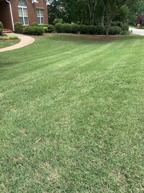 ⭐️⭐️⭐️⭐️⭐️ Oscar at Georgia’s Finesse Lawn care was amazing super friendly, affordable, and professional