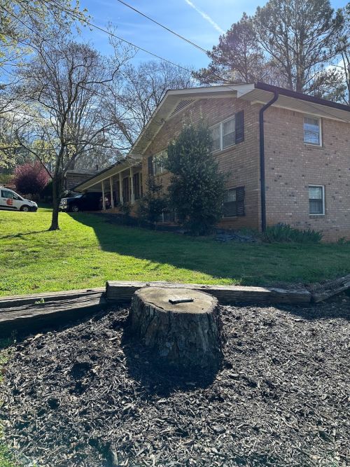  alt='Randy with A+ Stump removal was very professional, he brought heavy duty equipment to tackle my stump removal job (8)'