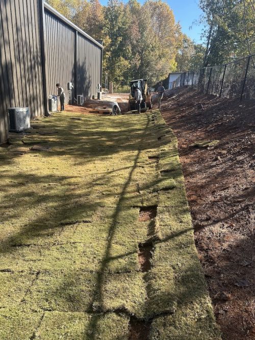  alt='I called Ramos Landscaping and Christain was the best. He came over and walked my property with me'