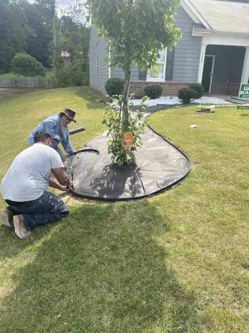 Needed to have some sod installed to repair some damage after work around the house. Great response and installation times