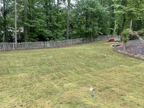 I reached out to Ramos Landscaping and they returned my call AND arrived to do a quote the same day
