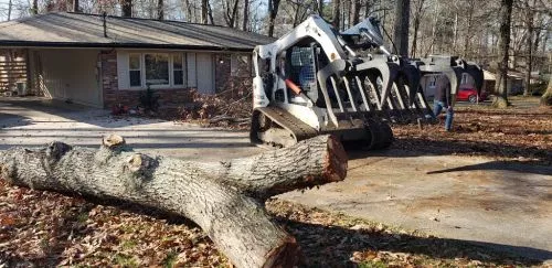 Good guys to work with. Good customer service. Carlos and his guys took out a lot of trees in our back yard, ground the