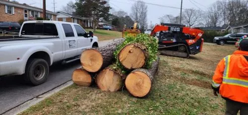 Carlos and his team did an amazing job. I had a massive dead 100+ year old oak tree that was about 50 feet from my house