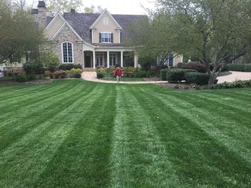 Our family has used this company for many years and we have just been so impressed